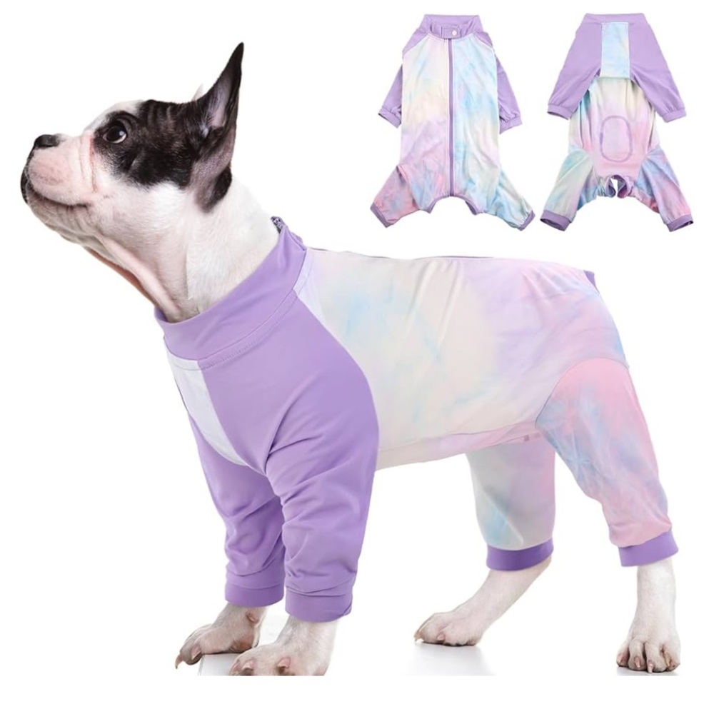 Dog surgery recovery suit